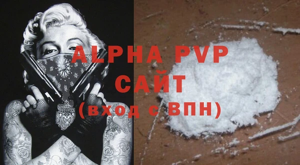 спиды Надым