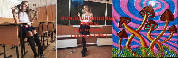 гашик Навашино