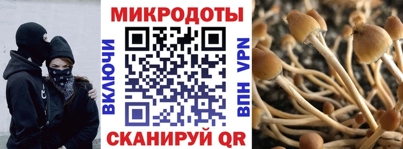 Галлюциногенные грибы Psilocybe  купить   Екатеринбург 